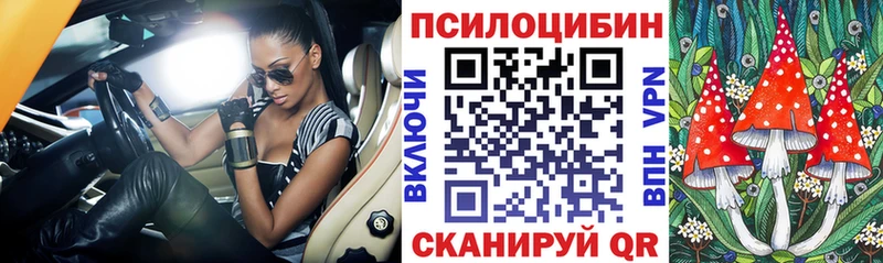 Псилоцибиновые грибы Cubensis Можайск
